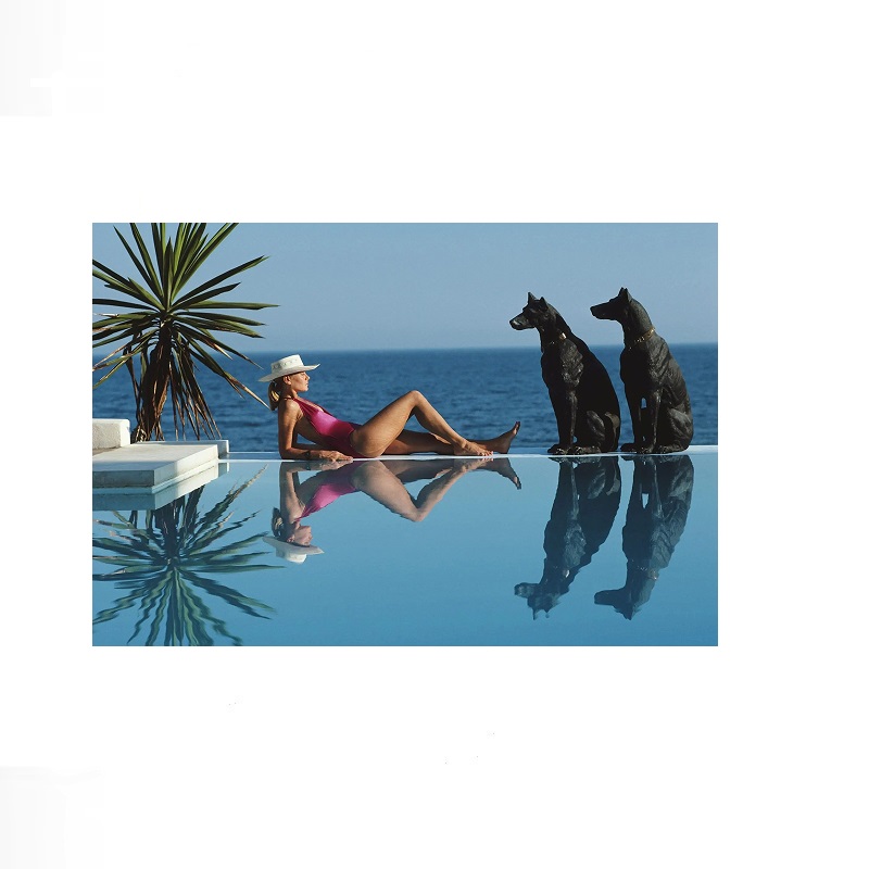 Retro Poolside Host Luxury Lif - Luxury Lifestyle Homes recensione e prezzo